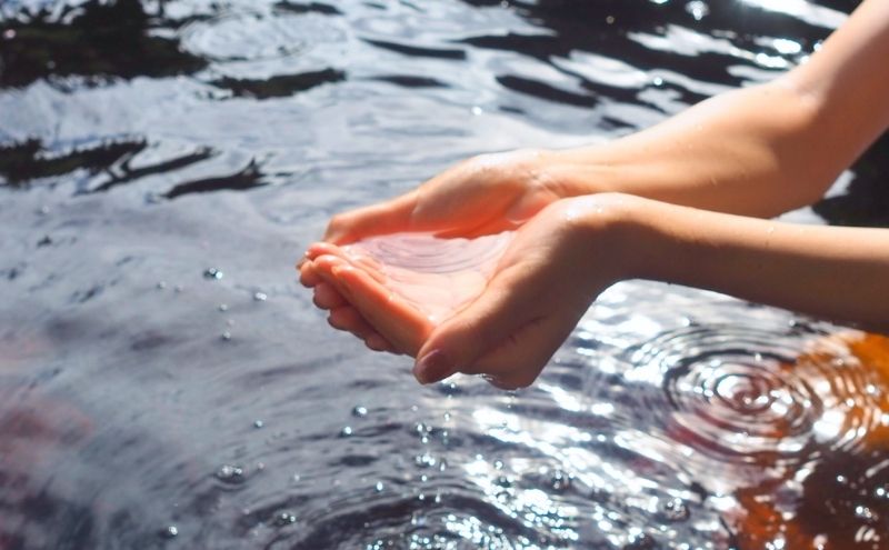 袋井温泉 和の湯 日帰り天然温泉 ★入浴ギフト券2枚★ 温泉は明日への活力 やわらぎのゆ 人気 厳選 おすすめ くつろぎ 日帰り入浴 フグ  袋井市