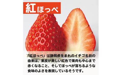 【配達地域限定】農水大臣賞受賞農園からお届け イチゴ大粒・紅ほっぺ ２パック  配送:2026年2月上旬頃より順次発送 果物類 いちご 苺