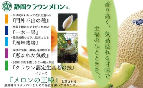 【お中元対応】クラウンメロン（白等級）中玉　２玉入