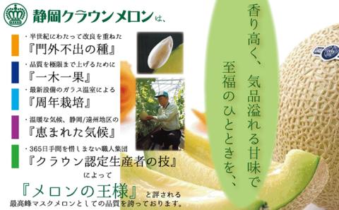 【奇数月6回定期便】クラウンメロン（白等級）1玉入