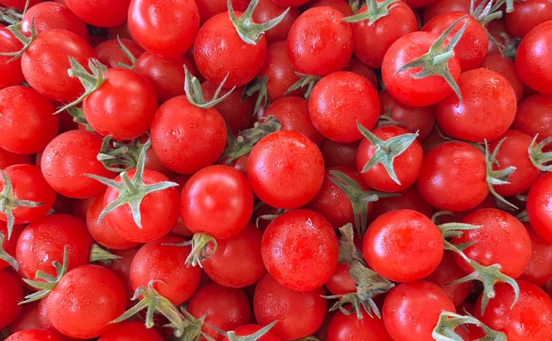 【2025年5月中旬より順次発送】うまトマト 1kg 野菜 甘さ 酸味 糖度８度以上 高糖度 ミニトマト お弁当 サラダ おやつ 濃厚 付け合わせ 緑黄色野菜 赤い野菜