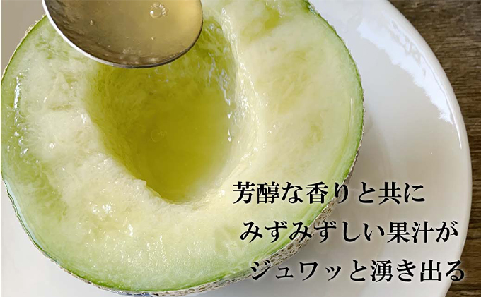 クラウンメロン【並（白等級）】中玉（1.3kg前後）1玉入り 