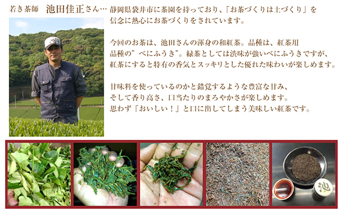 池田さんの和紅茶（ひも付きマグ用）10袋セット おすすめ べにふうき ティーバッグ 簡単 便利 ギフト 贈り物 人気 厳選 袋井市