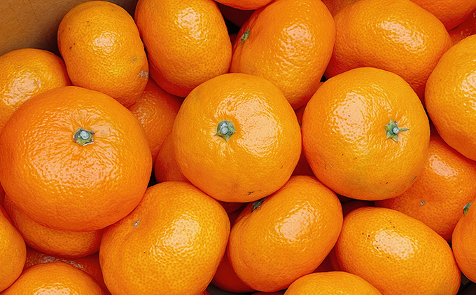 こたつみかん　約10kg（サイズいろいろ・詰め合わせ）【配達不可地域あり】