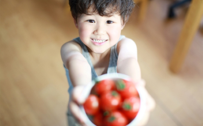 【12ヶ月定期便】機能性表示食品 Hapitoma ハピトマ 訳あり（1.8kg）健康 ヘルシー 人気 厳選