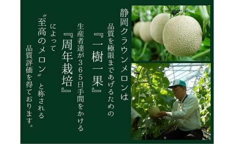 クラウンメロン（白等級）特大玉 １玉入