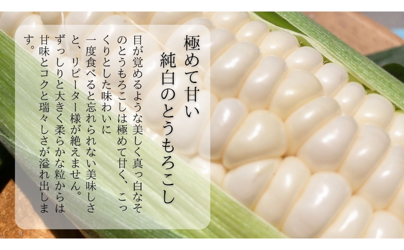 【先行予約】⾄極の⽢さと果汁 白いとうもろこし おすすめ コーン トウモロコシ 採れたて 新鮮 健康 ヘルシー 人気 厳選 袋井市