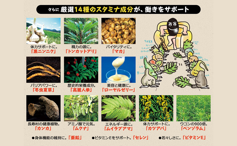 DHC醗酵黒セサミン+スタミナ30日分 12個(360日分)セット