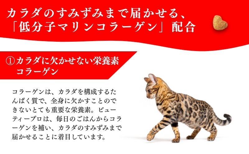 日本ペットフード ビューティープロ キャット 下部尿路の健康維持 1歳から 560g（80g×7袋入）×10袋（ケース） キャットフード