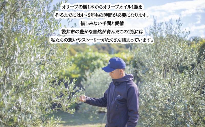 オリーブオイル 100ml 3本 セット 静岡県産 エクストラバージンオリーブオイル 静岡県 袋井市 オリーブ 油 ※配送不可：離島