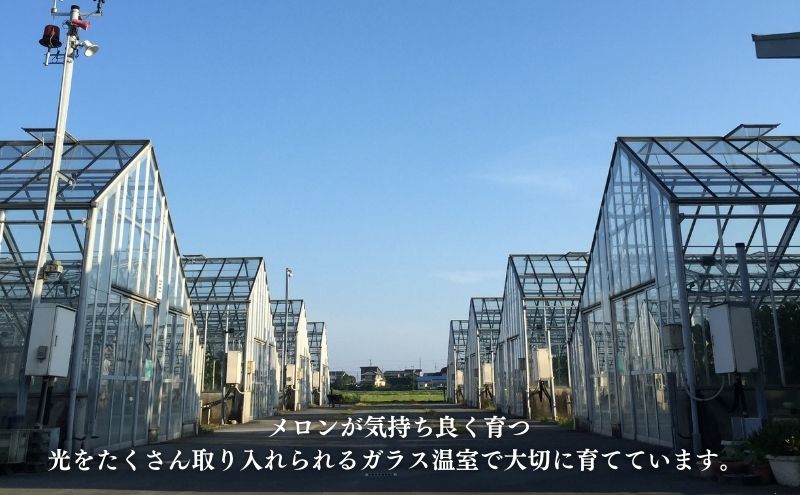 【お食事券】2名様分 農家カフェで味わうメロンパフェとメロン紅茶セット