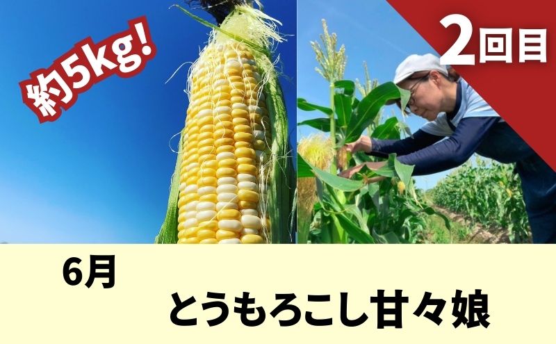季節でお届け★定期便★袋井スペシャルセット　メロン とうもろこし コシヒカリ 焼き菓子