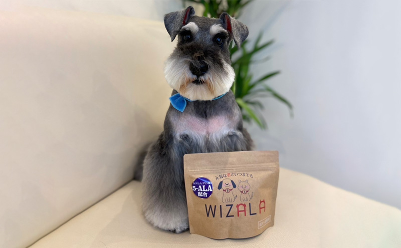 おまとめ２点セット　ウィズアラ成犬成猫用（ペット用サプリメント）