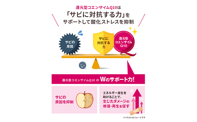 ＜機能性表示食品＞DHC コエンザイムQ10還元型 30日分6個セット