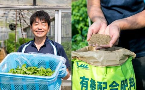 	 温室野菜 sano 　生バジルソース 料理 イタリア料理 新鮮 香り 温室栽培 無添加 おすすめ 人気 厳選 袋井市
