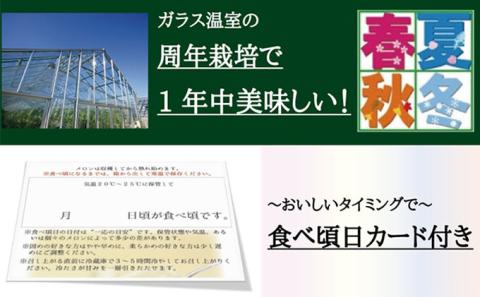 クラウンメロン”名人メロン”　3玉入　ギフト箱入り