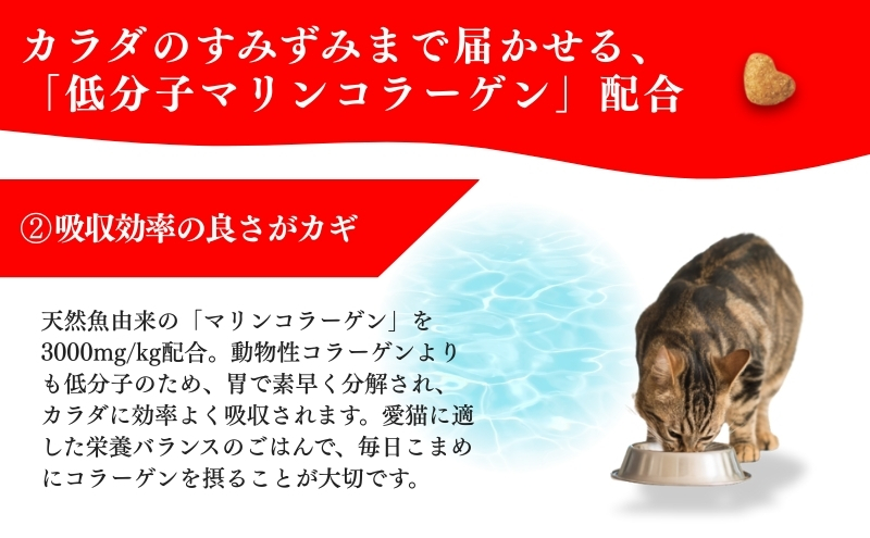 日本ペットフード ビューティープロ キャット 下部尿路の健康維持 1歳から 560g（80g×7袋入）×10袋（ケース） キャットフード