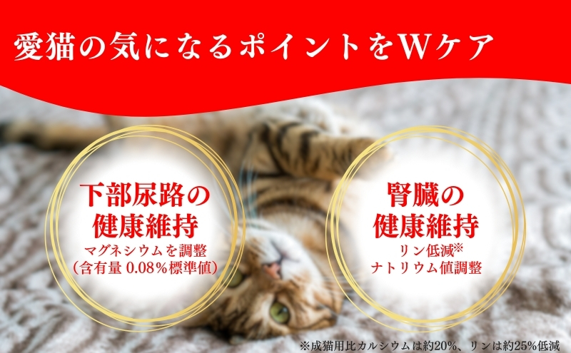 ビューティープロ キャット Ｗケア 下部尿路・腎臓の健康 1.2kg ｘ8(ケース単位) キャットフード
