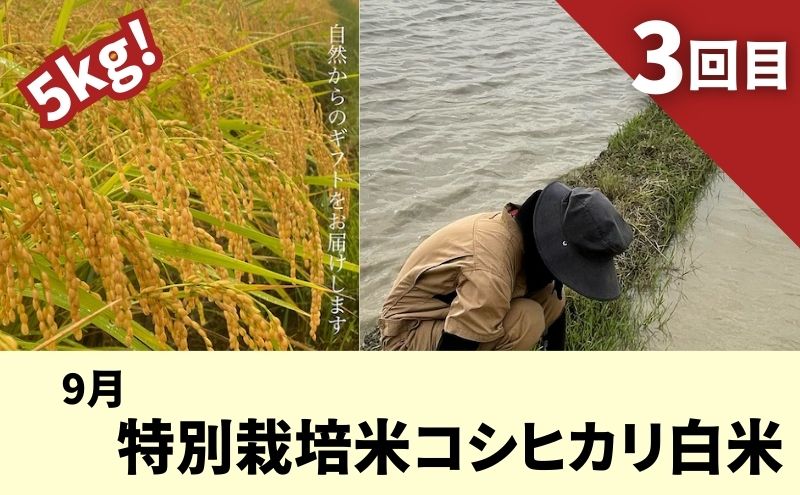 季節でお届け★定期便★袋井スペシャルセット　メロン とうもろこし コシヒカリ 焼き菓子