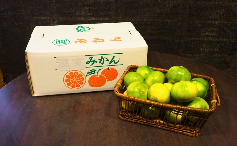 青みかん 10kg   2025年9月頃から順次発送 青みかん ミカン 果物 フルーツ 冬 蜜柑 静岡 袋井市 果物類 柑橘 柑橘類 デザート 食後 おやつ