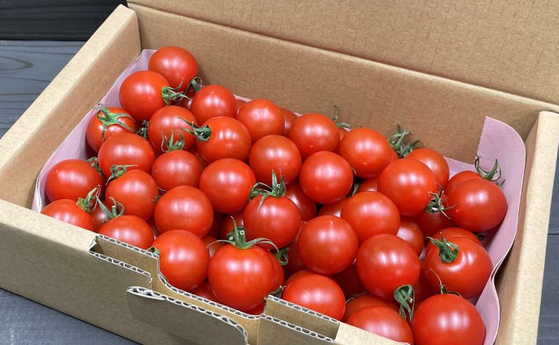 【2025年5月中旬より順次発送】うまトマト 1kg 野菜 甘さ 酸味 糖度８度以上 高糖度 ミニトマト お弁当 サラダ おやつ 濃厚 付け合わせ 緑黄色野菜 赤い野菜