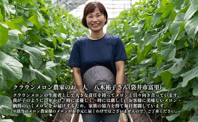クラウンメロン【並（白等級）】中玉（1.3kg前後）1玉入り 