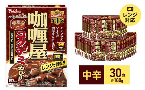 ハウス食品 レトルト カリー屋コクデミカレー【中辛】180g×30食 保存 便利 料理 簡単 レンジ レンチン スパイス ビーフ デミグラス 人気 厳選 袋井市