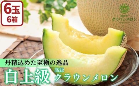 【数量限定】【期間限定】クラウンメロン 白上級 ６玉 高級黒色化粧箱入り メロン 人気 厳選 ギフト 贈り物 デザート グルメ 果物 袋井市