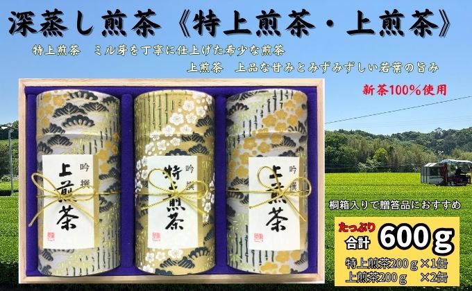 深蒸し煎茶《特上煎茶[200g×1本]・上煎茶[200g×2本]》