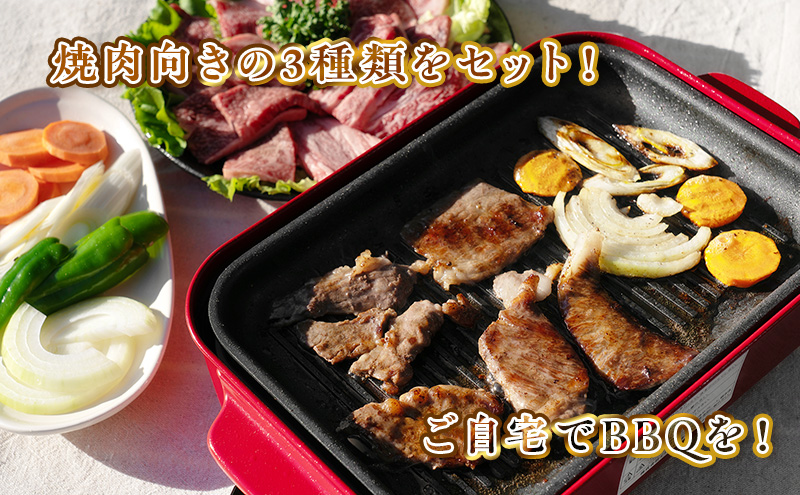 【数量限定】稀少！遠州袋井牛 焼肉セット 3種 計1.2kg 贅沢 ヘルシー 料理 グルメ 肉 BBQ アウトドア 人気 厳選 袋井市