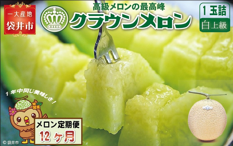 【12ヶ月定期便】クラウンメロン（白上級）1玉入