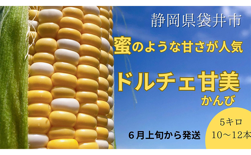 【 先行予約 】リピーター続出！ とうもろこし 【 ドルチェ甘美 】約5kg 8～10本 トウモロコシ 甘い 野菜 採れたて 朝採り 農家直送 袋井市 静岡県