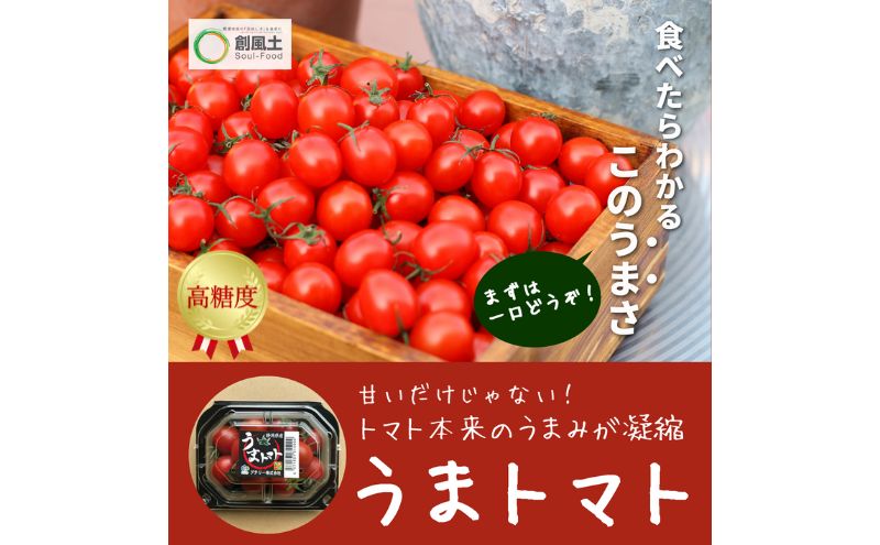 【2025年5月中旬より順次発送】うまトマト 1kg 野菜 甘さ 酸味 糖度８度以上 高糖度 ミニトマト お弁当 サラダ おやつ 濃厚 付け合わせ 緑黄色野菜 赤い野菜