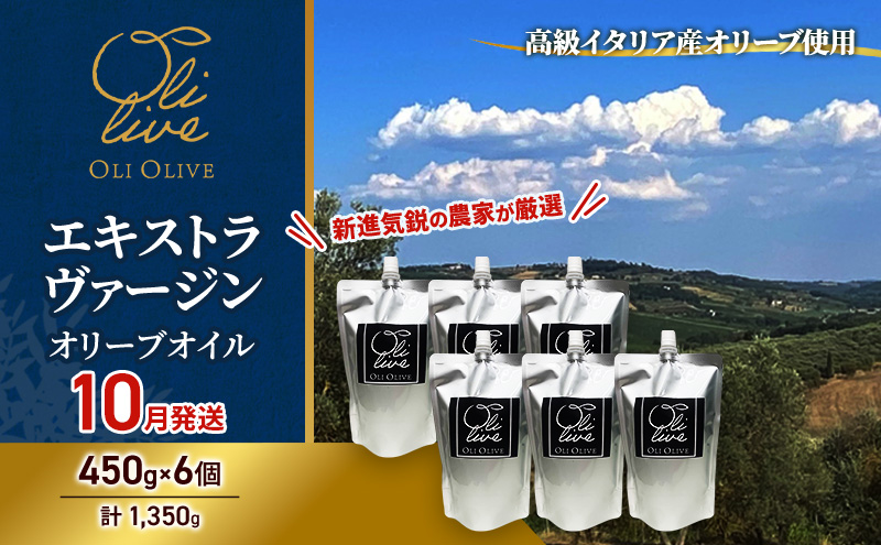 高級イタリア産 エキストラ・ヴァージン・オリーブオイル 450g×6個【2026年10月中旬より順次発送】調味料 油 オリーブ油 食用油 静岡県 袋井市