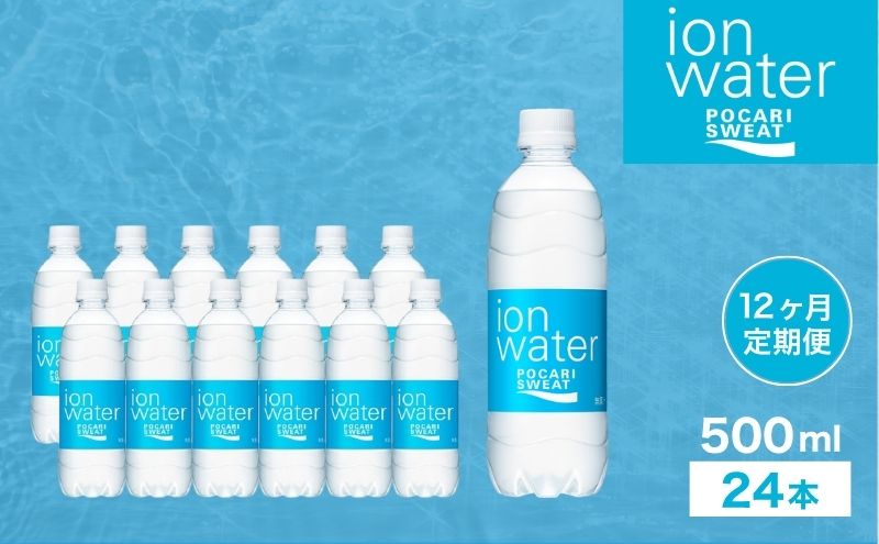 イオンウォーター 定期便 12ヶ月 500ml 24本 大塚製薬 ポカリ
