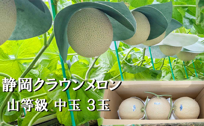 クラウンメロン 上 ( 山等級 ) 中玉 ( 1.3kg前後 ) 3玉入り 人気 厳選 ギフト 贈り物 デザート グルメ フルーツ 果物