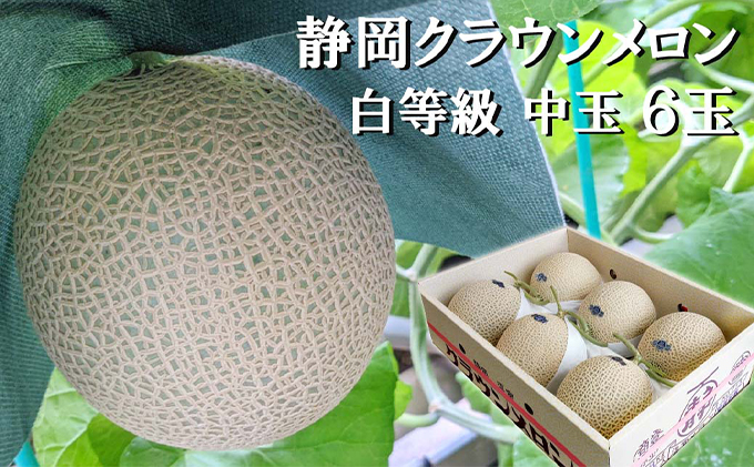 クラウンメロン【並（白等級）】中玉（1.3kg前後）6玉入り 人気 厳選 ギフト 贈り物 デザート グルメ 果物 袋井市
