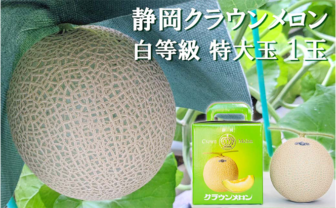 クラウンメロン【並（白等級）】特大玉（1.5kg前後）1玉入り 人気 厳選 ギフト 贈り物 デザート グルメ 果物 袋井市