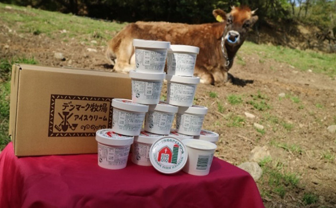 デンマーク牧場のアイスクリーム 12個セット（ミルク味）人気 厳選 袋井市