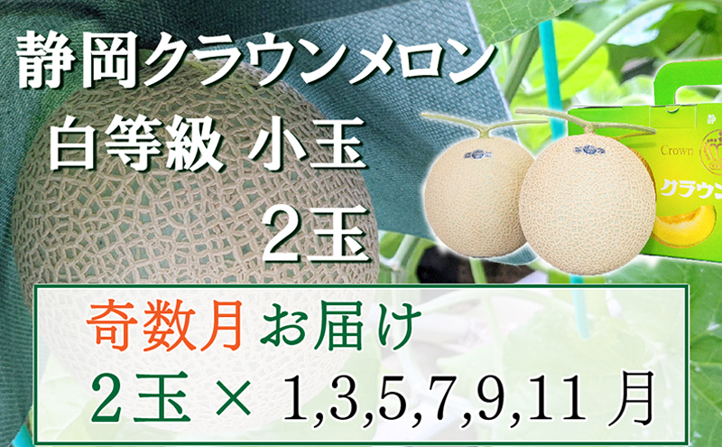 【奇数定期便】クラウンメロン【並(白等級)】小玉(1.1kg前後)2玉入り