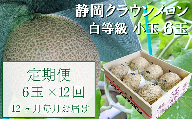 【12か月定期便】クラウンメロン【並(白等級)】小玉(1.1kg前後)6玉入り