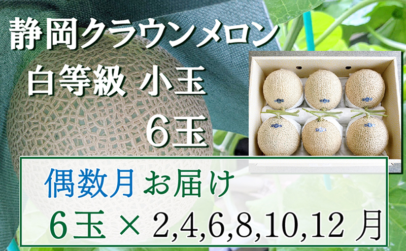 【偶数定期便】クラウンメロン【並(白等級)】小玉(1.1kg前後)6玉入り