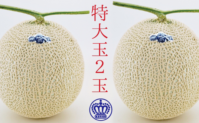 11月発送クラウンメロン（白級）特大玉 2玉　箱入り