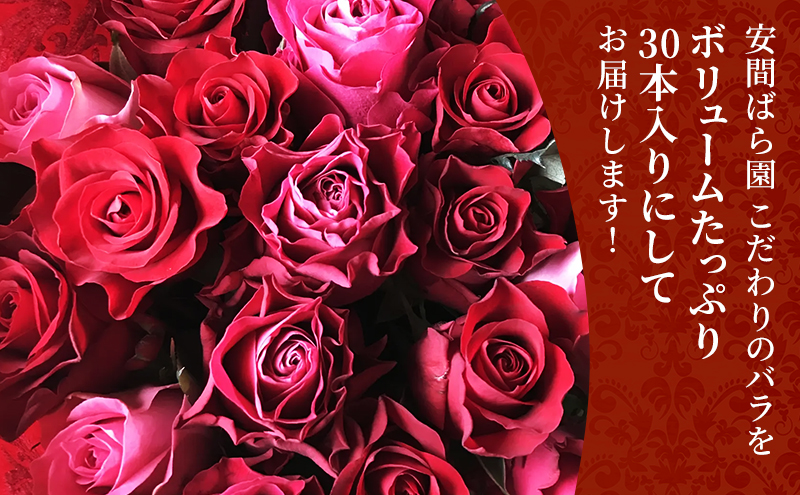 【2026年9月中旬から順次発送】安間ばら園 こだわりの バラ おまかせ詰め合わせ約30本入 クール便 花 ギフト 誕生日 記念日 花束 プレゼント バラ フラワーギフト