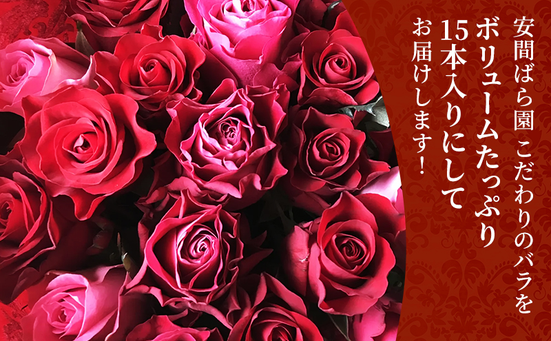 【2026年6月中旬から順次発送】安間ばら園 こだわりの バラ おまかせ詰め合わせ約15本入 クール便 花 ギフト 誕生日 記念日 花束 プレゼント バラ フラワーギフト