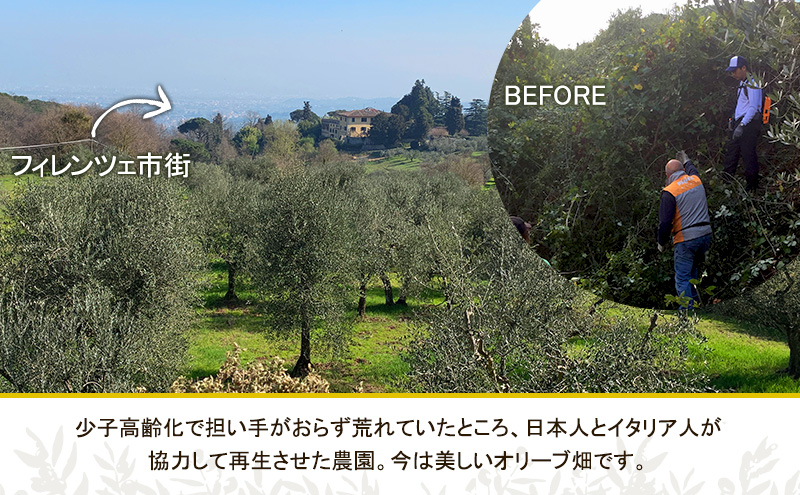 【五つ星ホテル指名買い】 トスカーナ産 エキストラ バージン オリーブオイル (183.2g×2本)【2026年10月発送】 調味料 油 オリーブ油 食用油 静岡県 袋井市