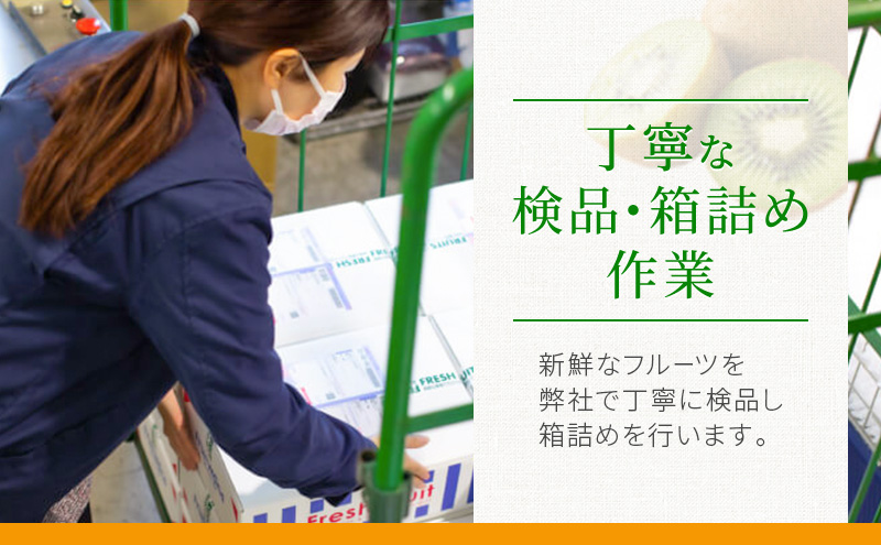 【5月～6月 期間限定出荷】 こだわり クラウンメロン 1個 山 1.3kg×1 クラウン メロン めろん 山等級 静岡県 静岡 袋井市 贈答 高級 フルーツ 果物