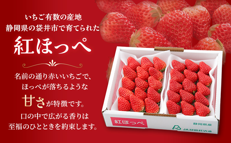 JA遠州中央 紅ほっぺ いちご 2パック 260g×2 遠中 静岡県 静岡 袋井市 袋井 イチゴ 苺 贈答 フルーツ 果物 くだもの 人気