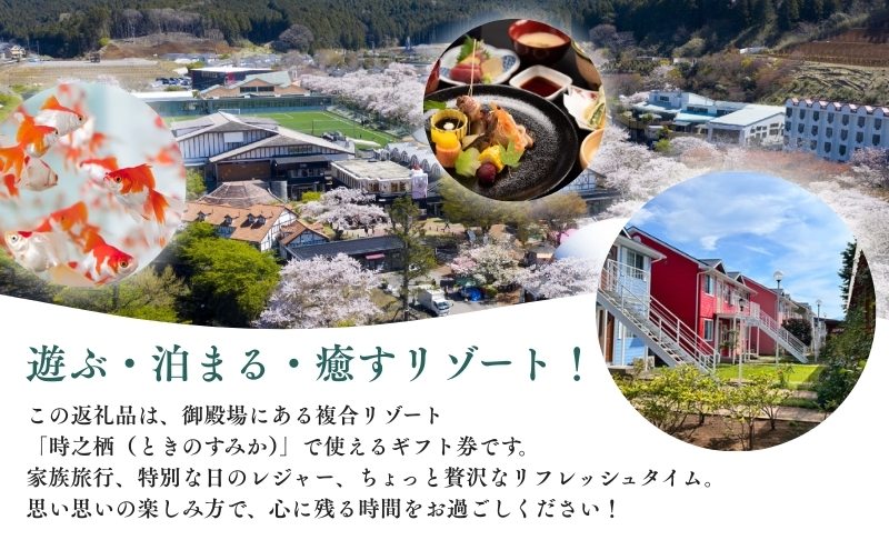 旅行 静岡 時之栖 グループ ギフト券 9,000円分 （3万円寄付コース） チケット 券 旅行券 宿泊券 食事券 利用券 ホテル 温泉 レストラン グランピング 施設 トラベル 観光 体験 旅 ギフト プレゼント 贈答 贈答品 贈り物 静岡県 裾野 裾野市