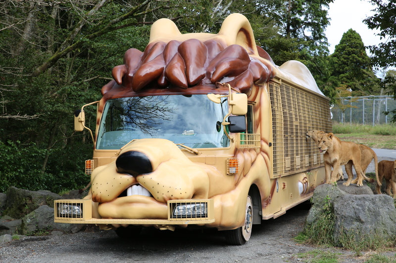 富士サファリパーク入園券 大人2枚、小人１枚 サファリパーク 動物園 動物 餌やり えさやり ふれあい 子供 こども 家族 お出かけ スポット 裾野市 裾野